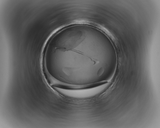 X0000116631331200912111209