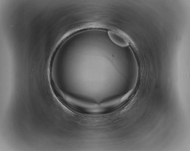 X0000116631334200912111209