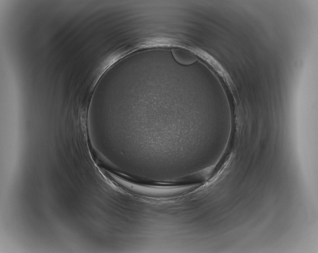 X0000116631337200912111209