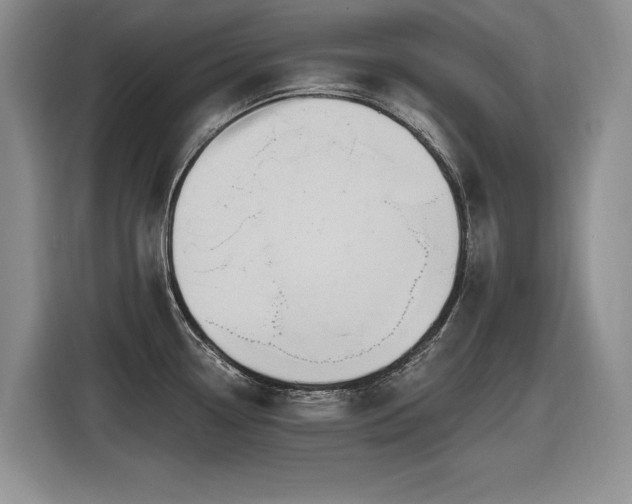 X0000116631338200912111209