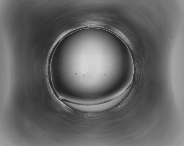 X0000116631339200912111209