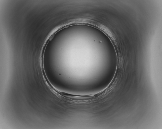 X0000116631342200912111209