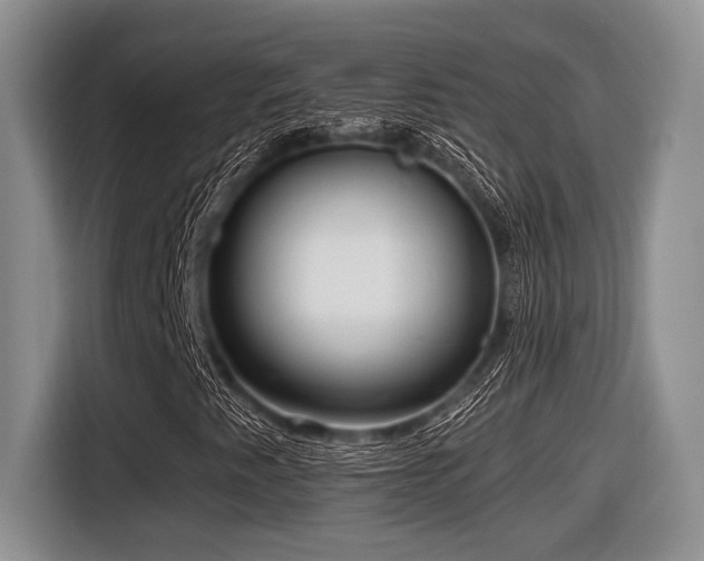 X0000116631345200912111209