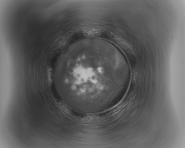 X0000116631346200912111209