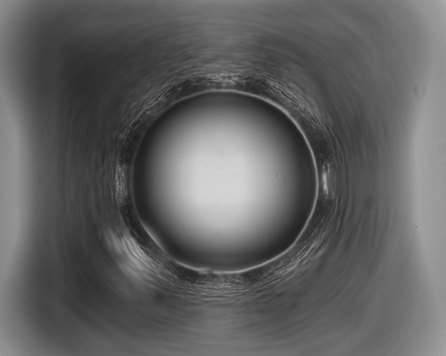 X0000116631347200912111208