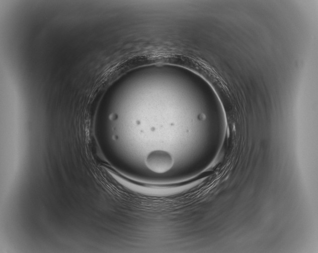 X0000116631348200912111208