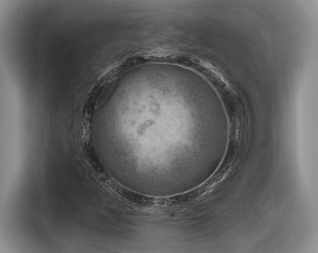 X0000116631350200912111208