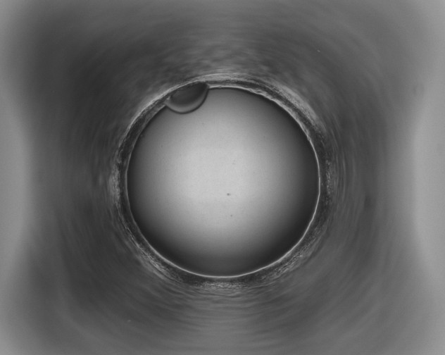 X0000116631356200912111208