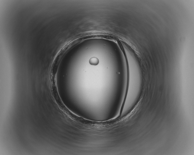 X0000116631357200912111208