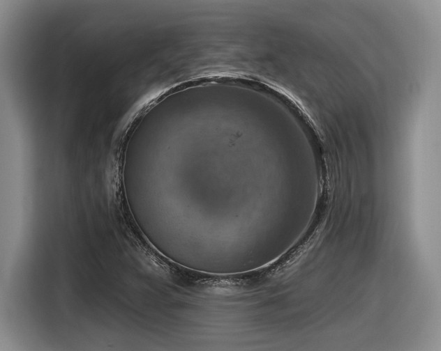 X0000116631359200912111208