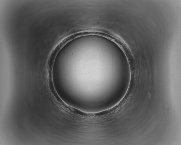 X0000116631360200912111208