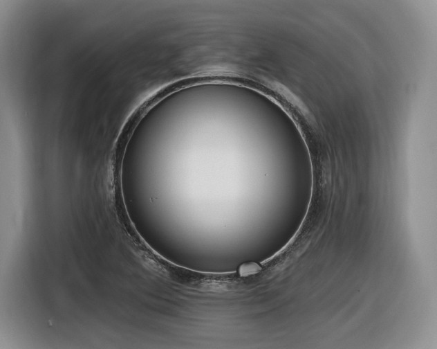 X0000116631364200912111208