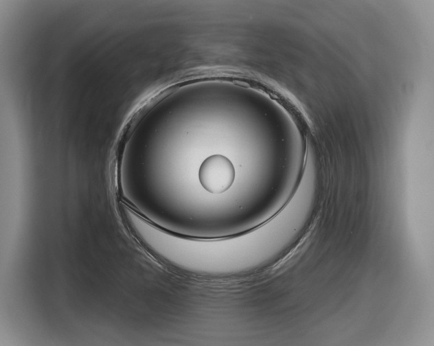 X0000116631365200912111208