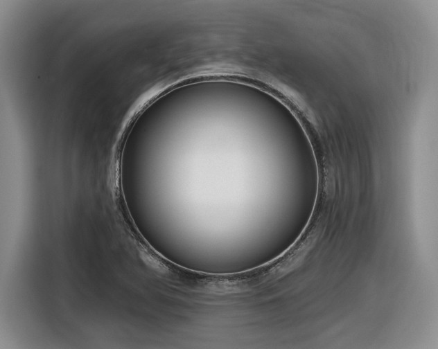 X0000116631366200912111208