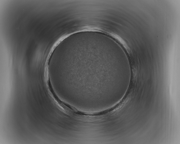 X0000116631371200912111208