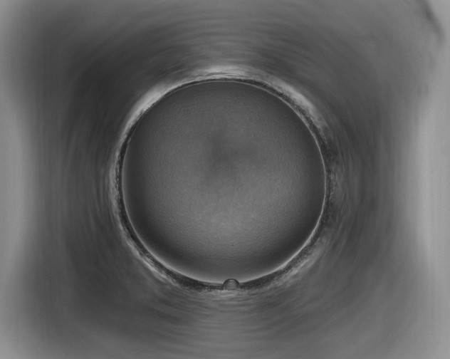 X0000116631373200912111208