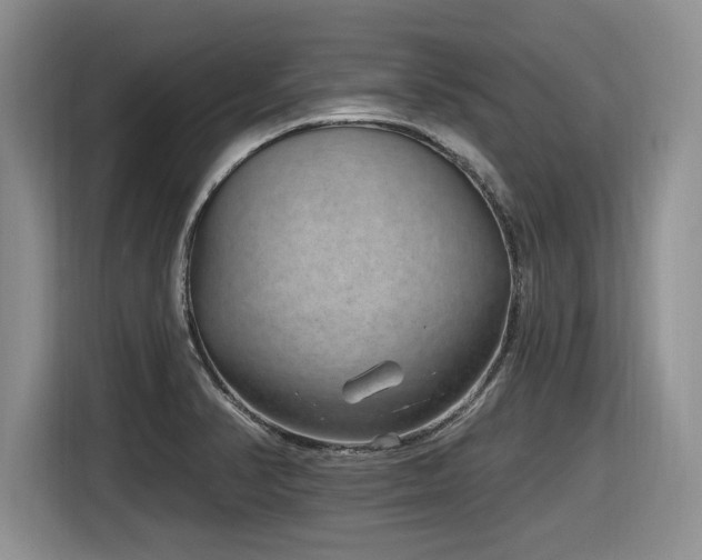 X0000116631374200912111208