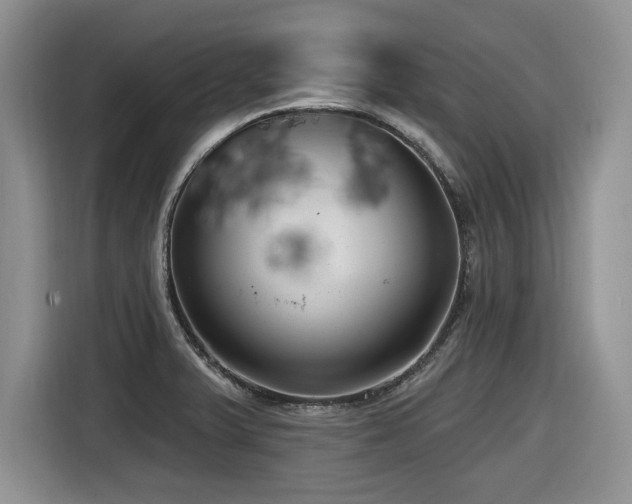 X0000116631375200912111208