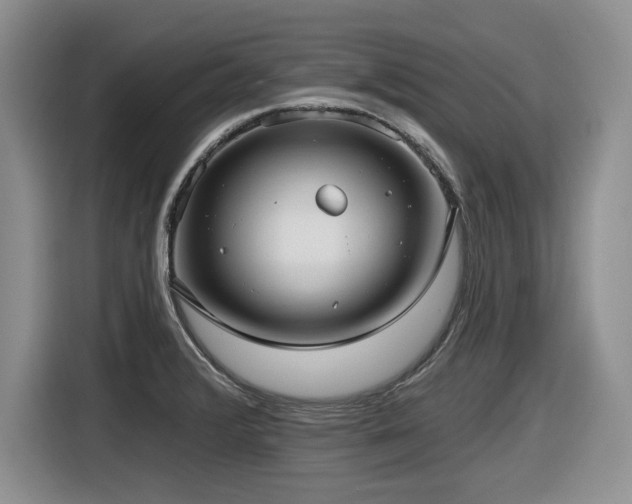 X0000116631376200912111208