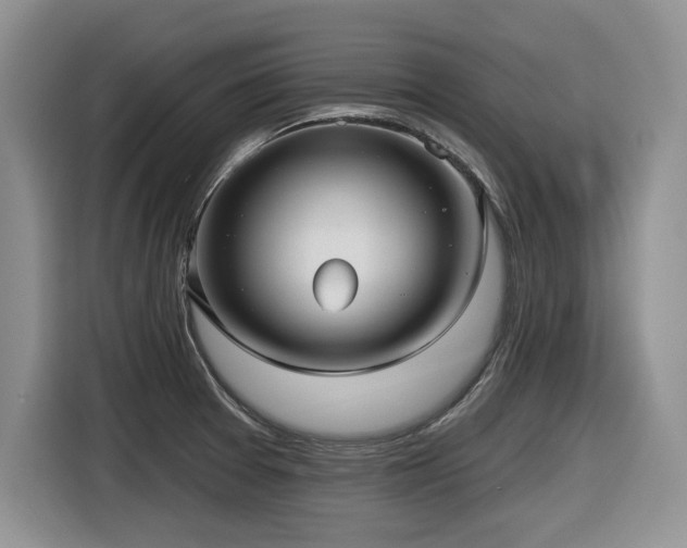 X0000116631377200912111208