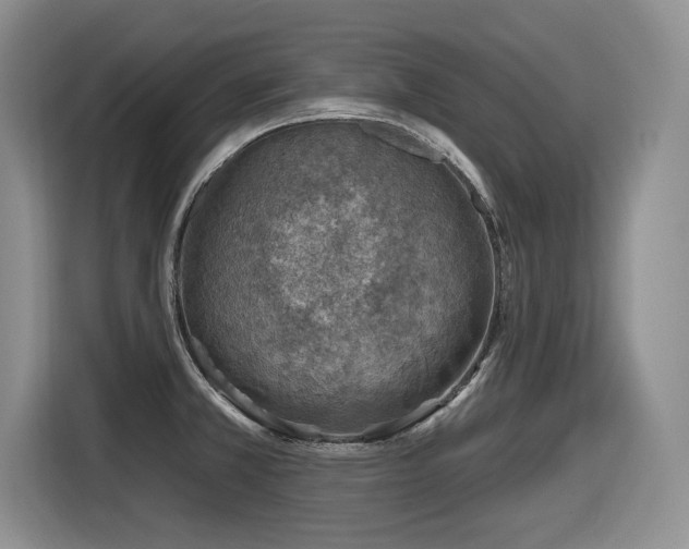 X0000116631381200912111208