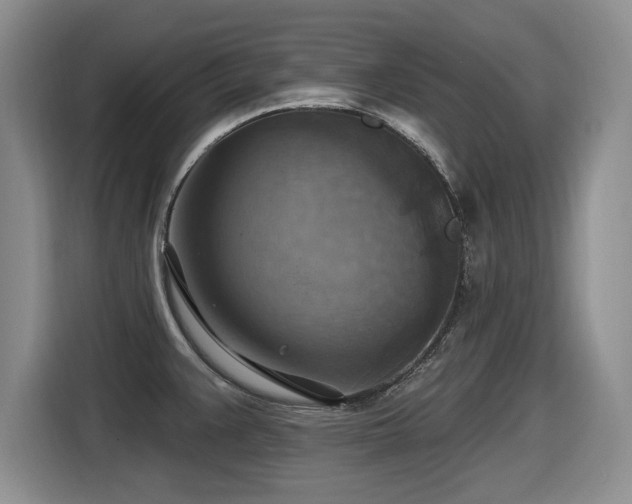 X0000116631383200912111208