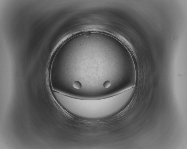 X0000116631384200912111208