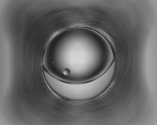 X0000116631385200912111208