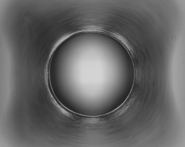 X0000116631387200912111208