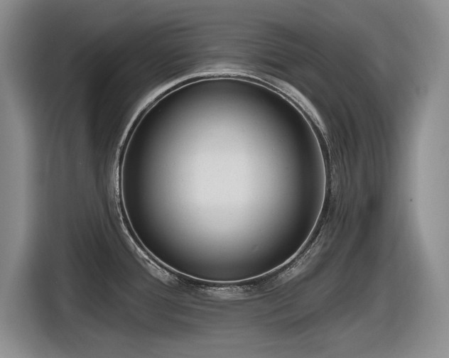 X0000116631388200912111208