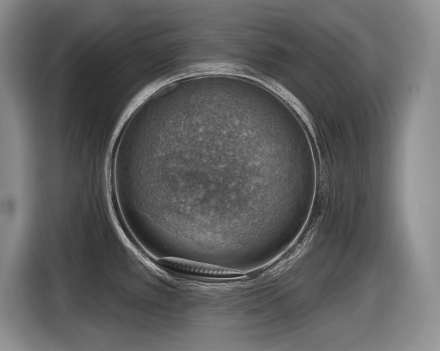 X0000116631389200912111208