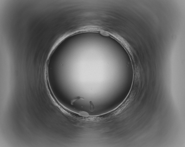 X0000116631390200912111208