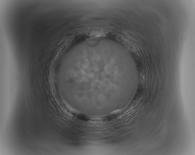 X0000116631393200912111207