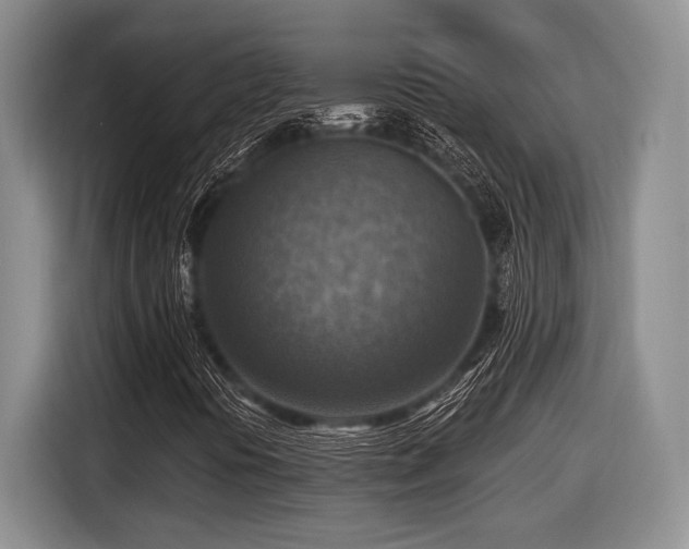X0000116631394200912111207