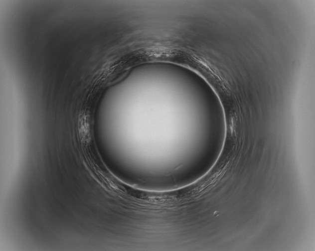 X0000116631396200912111207