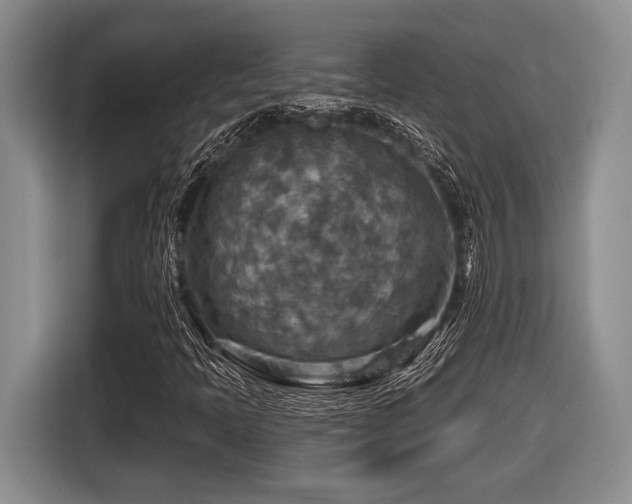 X0000116631397200912111207