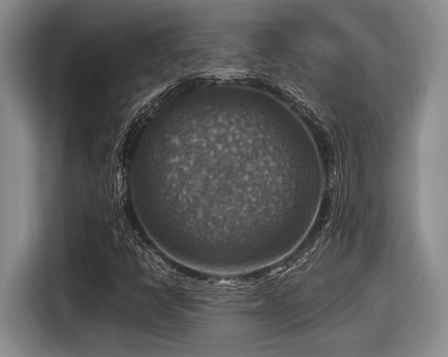 X0000116631398200912111207
