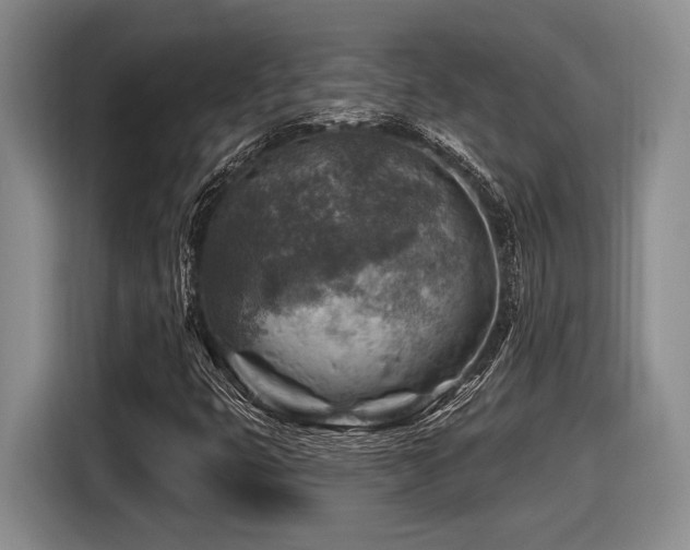 X0000116631399200912111207