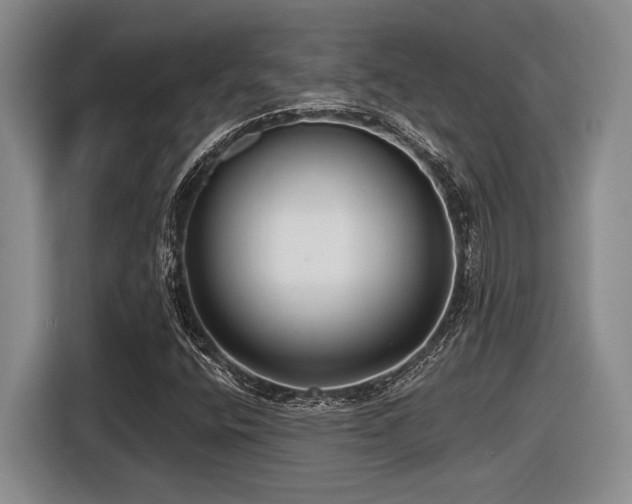 X0000116631400200912111207