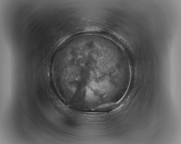 X0000116631401200912111207