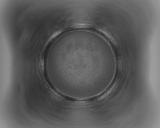 X0000116631402200912111207