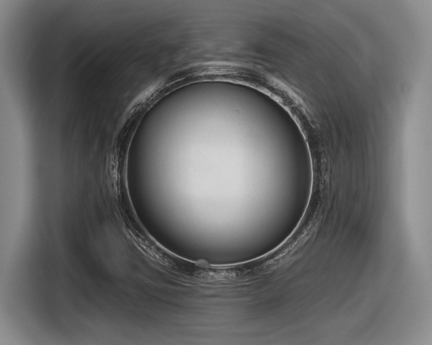 X0000116631403200912111207