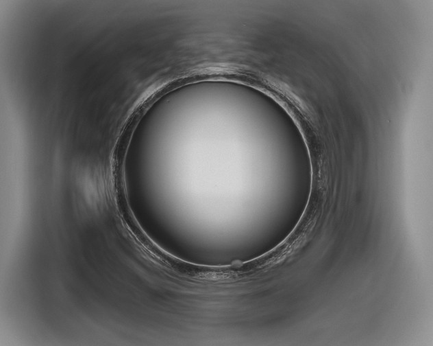 X0000116631404200912111207