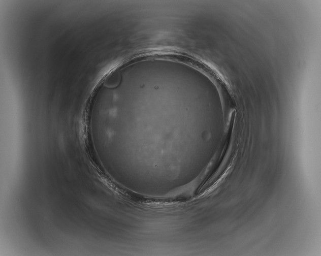 X0000116631405200912111207