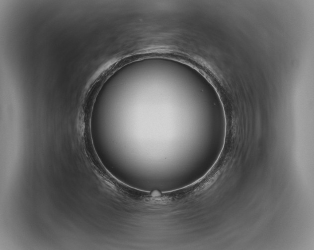 X0000116631406200912111207