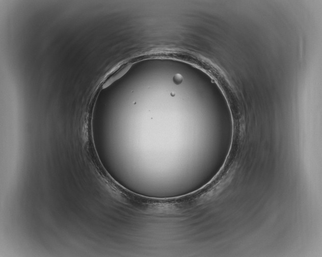 X0000116631409200912111207