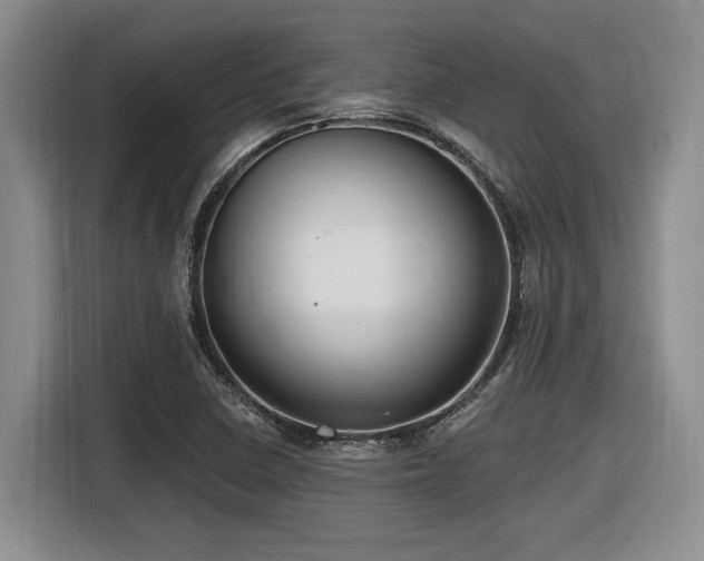 X0000116631410200912111208