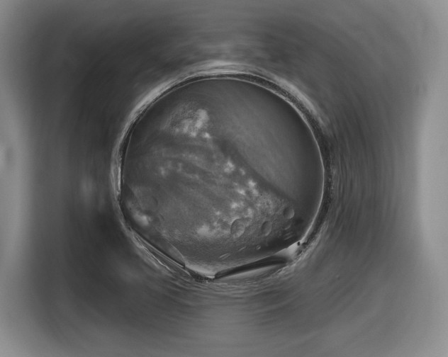 X0000116631413200912111208