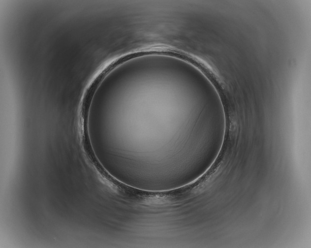 X0000116631414200912111208