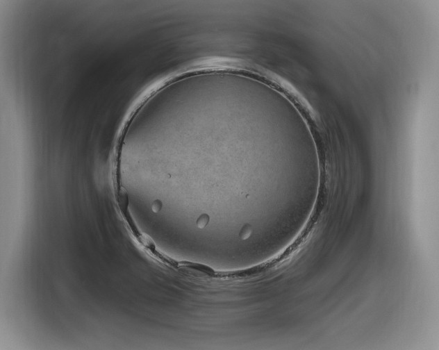 X0000116631421200912111208